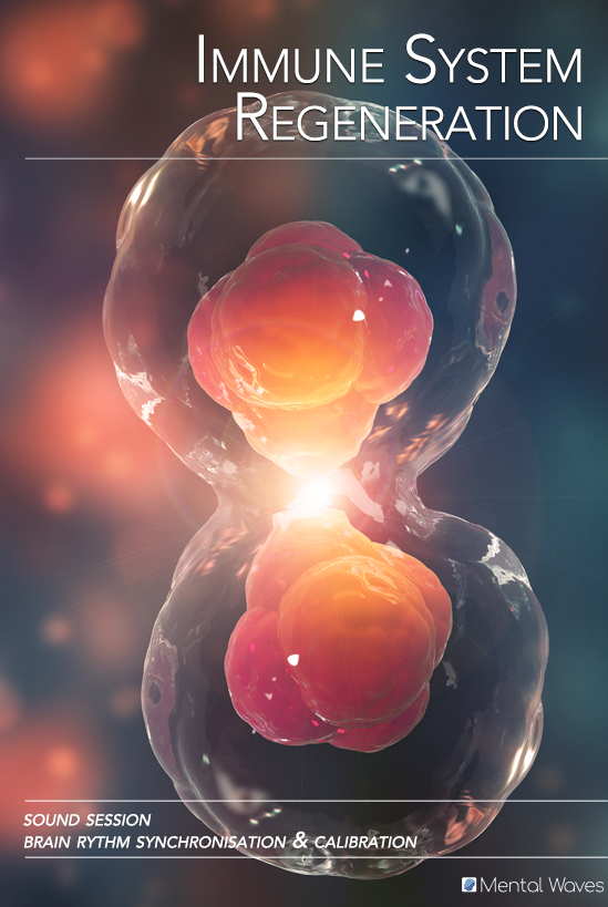 Regeneration of the immune system