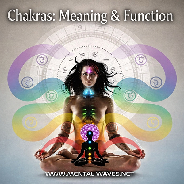 The 7 Main Chakras and Their Functions