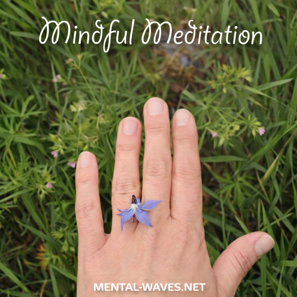 Mindfulness Meditation or Vipassana