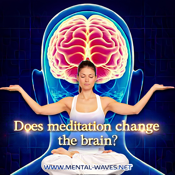 Does Meditation Change the Brain?