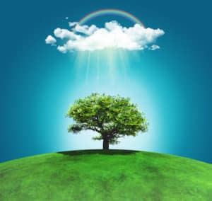 Trees that heal