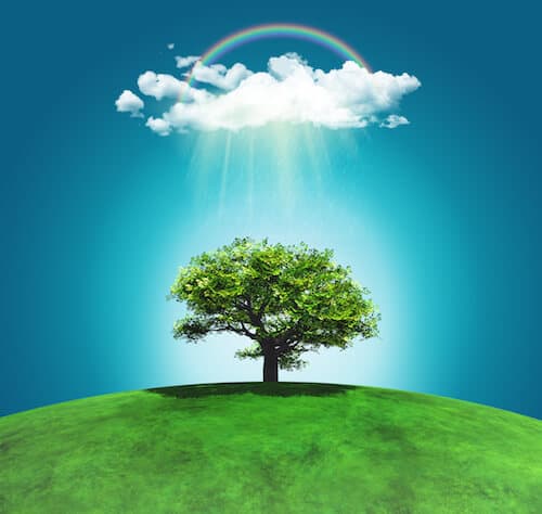 Trees That Heal