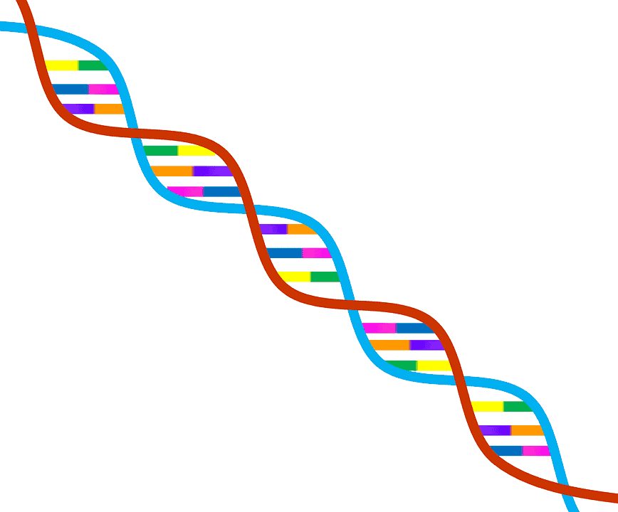 DNA and epigenetics illustration