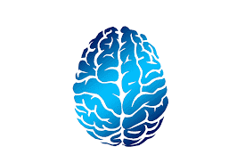 Brainwave Synchronisation in Rhesus Macaques