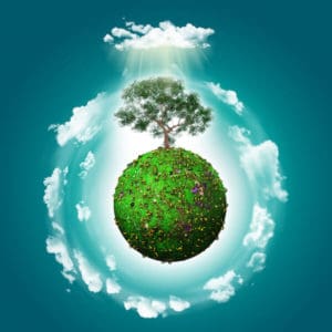 Forest wellbeing practice