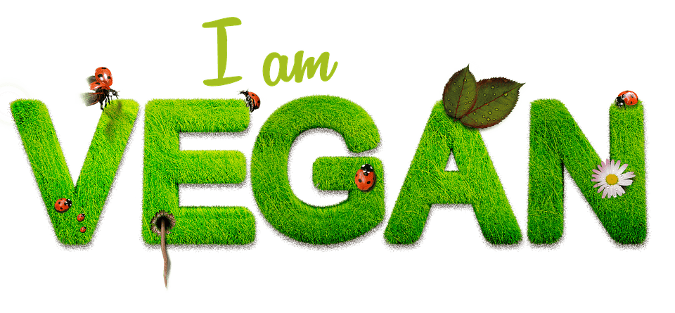 Veganism and the Awakening of Human Consciousness