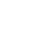 Mental Waves logo