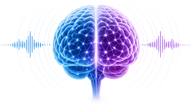 Illuminated 3D brain